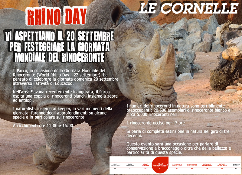 rhino-day-small