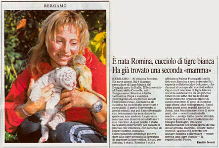 Romina: cucciolo di tigre bianca