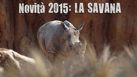 Novità 2015: La Savana
