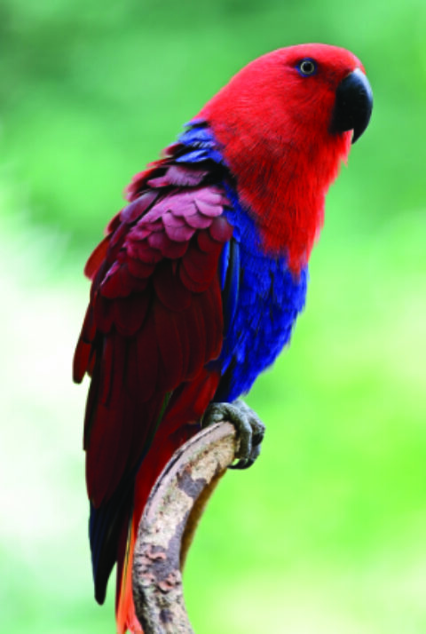 Featured Image